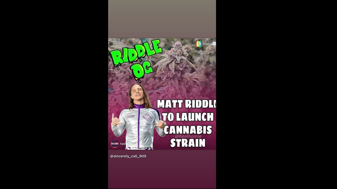 Matt Riddle's Instagram story